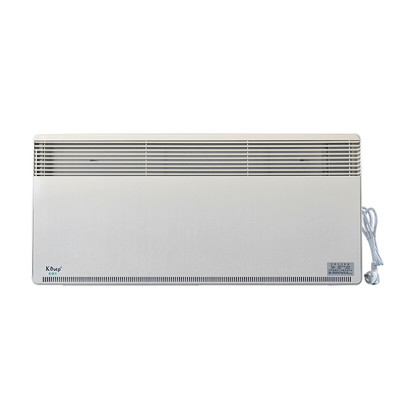 对流式电暖器DPN10-B2